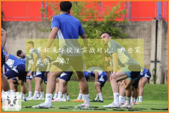 世界杯滚球投注实战对比：哪些策略更胜一筹？