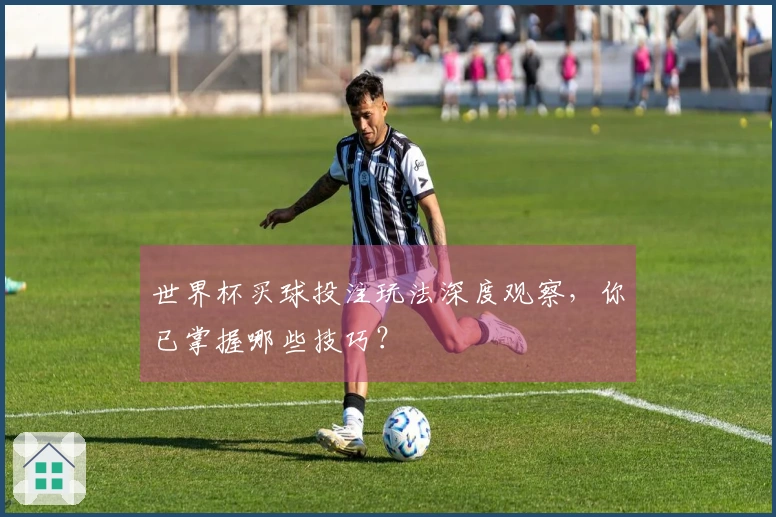 世界杯买球投注玩法深度观察，你已掌握哪些技巧？