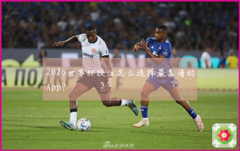 2026世界杯投注怎么选择最靠谱的App？