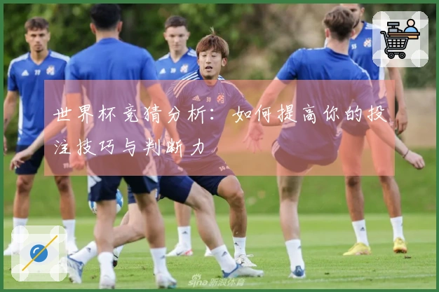 世界杯竞猜分析：如何提高你的投注技巧与判断力