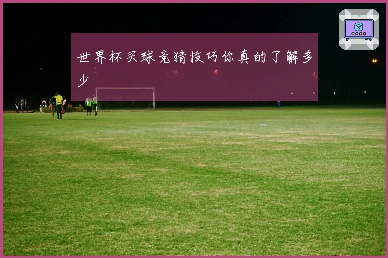 世界杯买球竞猜技巧你真的了解多少