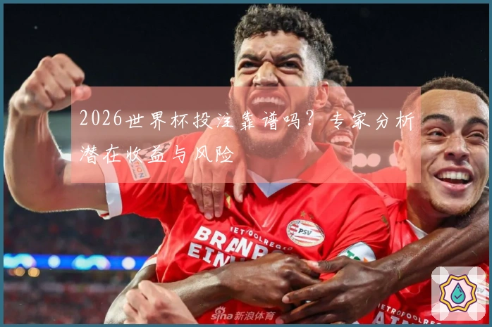 2026世界杯投注靠谱吗？专家分析潜在收益与风险