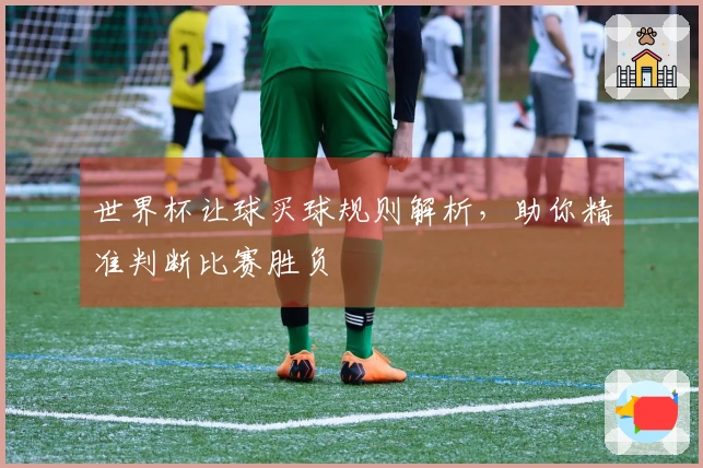 世界杯让球买球规则解析，助你精准判断比赛胜负