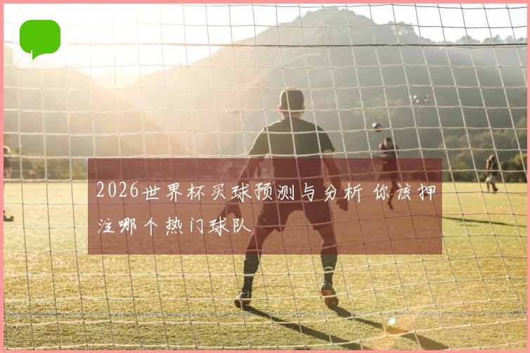 2026世界杯买球预测与分析 你该押注哪个热门球队