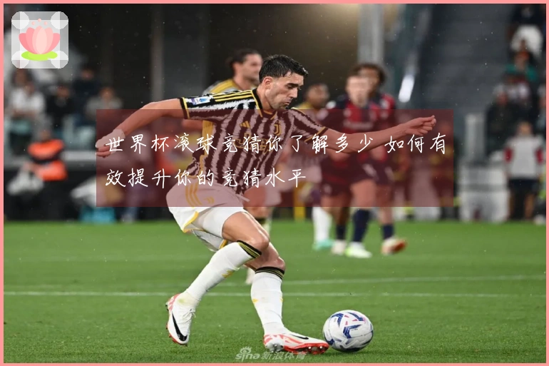 世界杯滚球竞猜你了解多少 如何有效提升你的竞猜水平