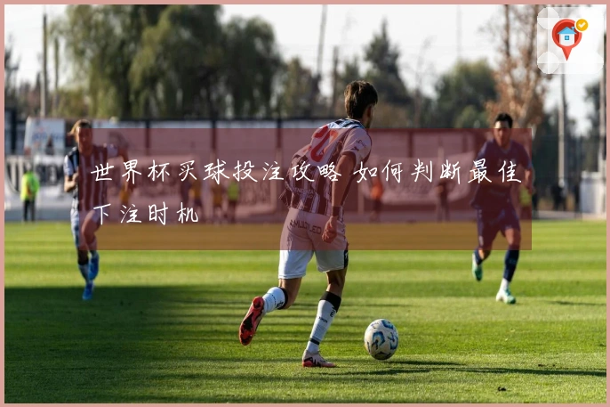 世界杯买球投注攻略 如何判断最佳下注时机
