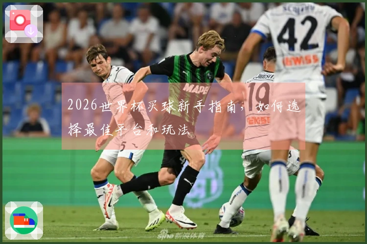 2026世界杯买球新手指南，如何选择最佳平台和玩法