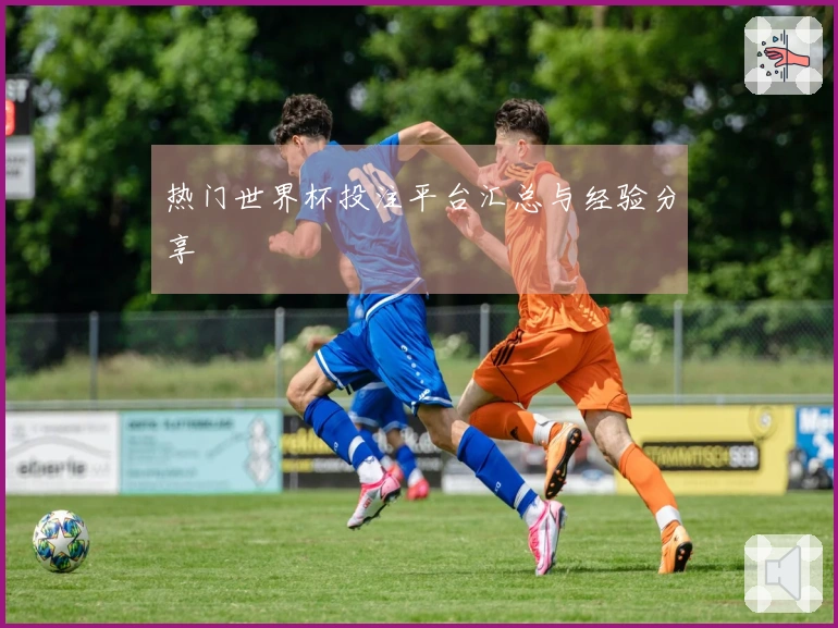 热门世界杯投注平台汇总与经验分享