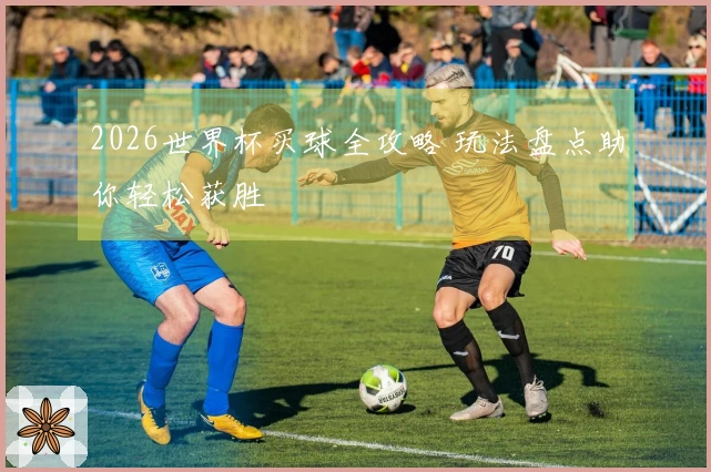 2026世界杯买球全攻略 玩法盘点助你轻松获胜
