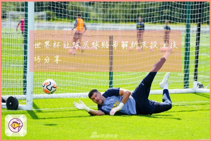 世界杯让球买球赔率解析及投注技巧分享