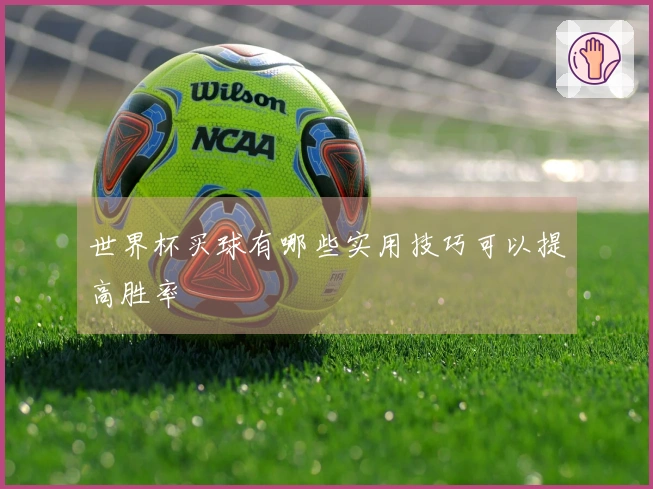 世界杯买球有哪些实用技巧可以提高胜率