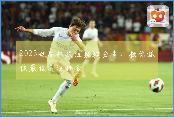 2023世界杯投注经验分享，教你抓住最佳下注机会
