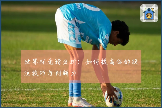 世界杯竞猜分析：如何提高你的投注技巧与判断力