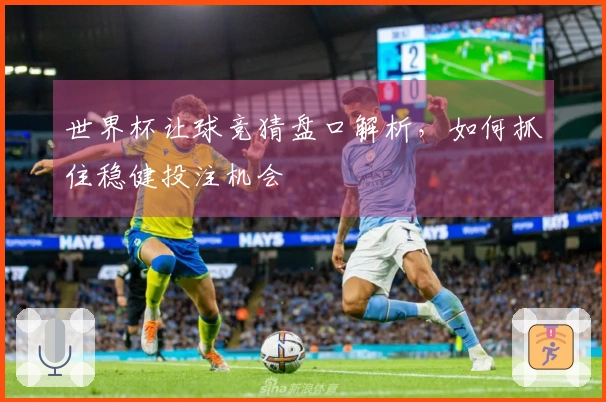 世界杯让球竞猜盘口解析，如何抓住稳健投注机会