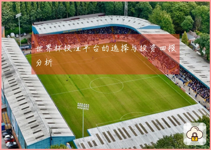 世界杯投注平台的选择与投资回报分析